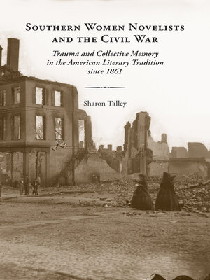 cover image of Southern Women Novelists and the Civil War